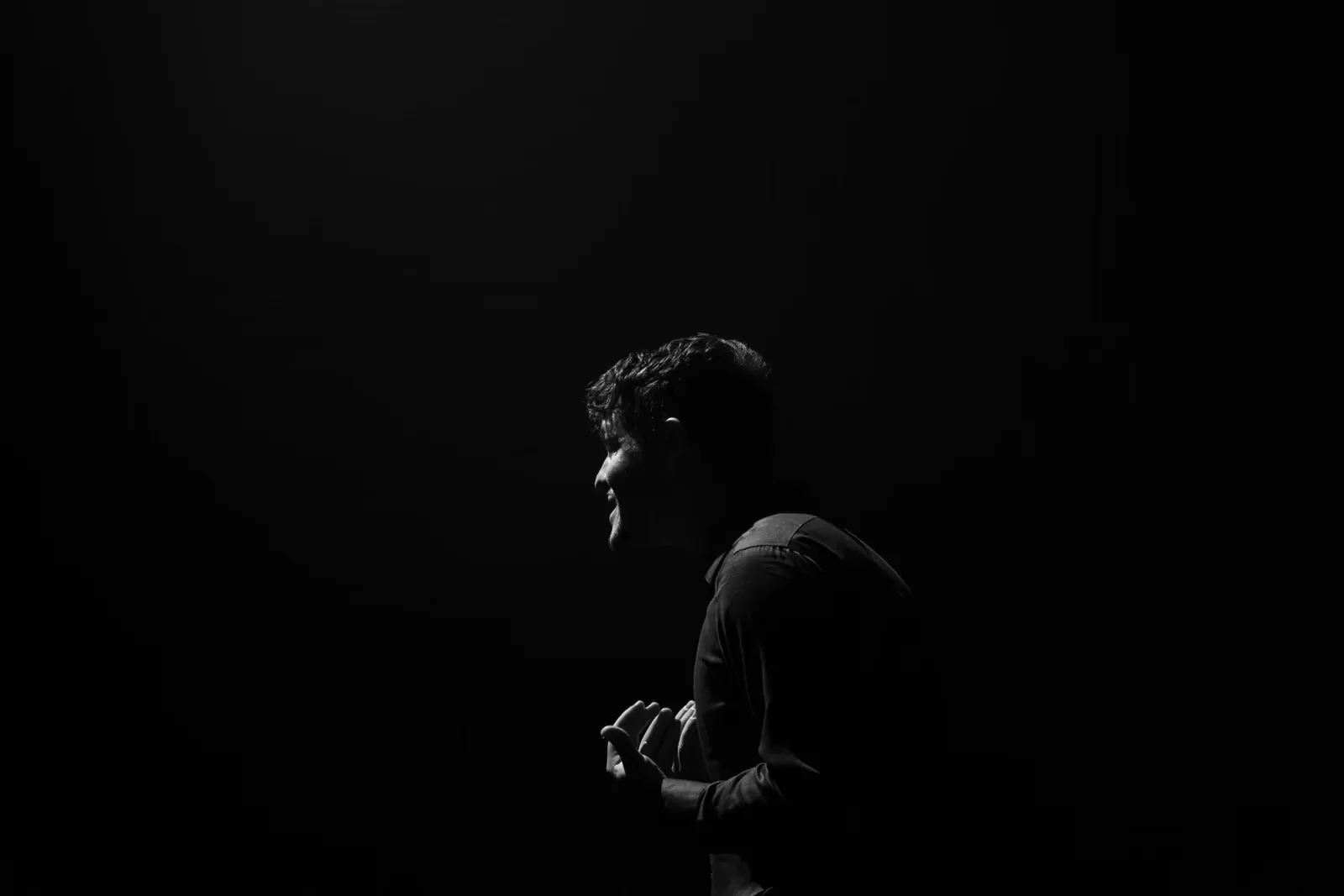 Agrandir l'image Photo - larev